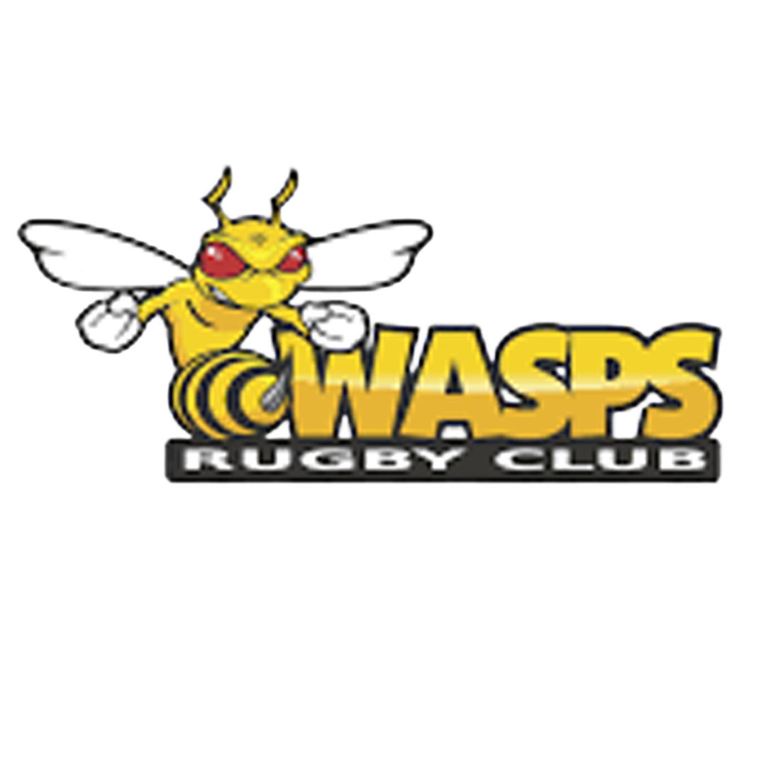 Wasps